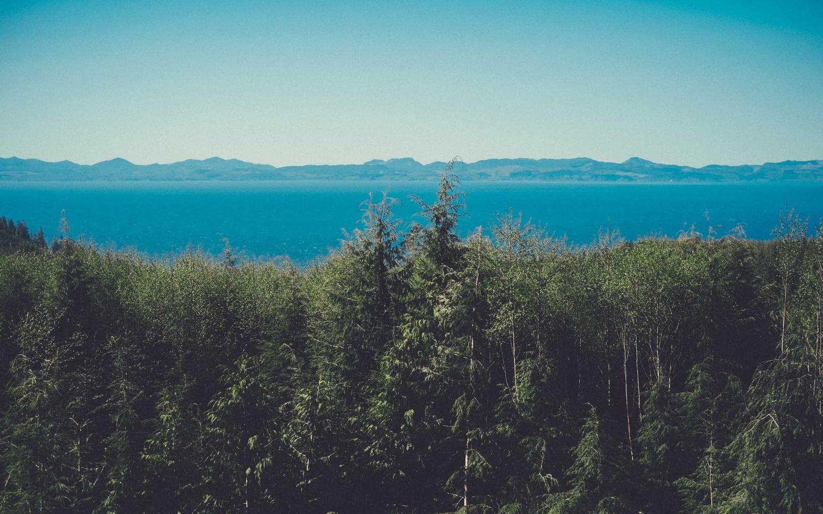 Eco-friendly cleaning supplies on countertop