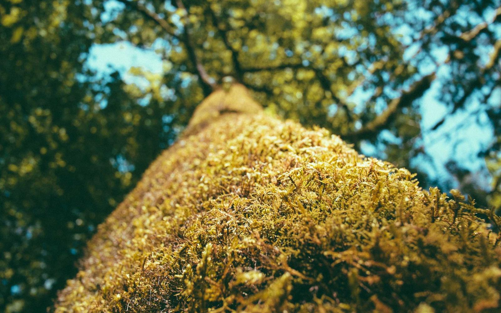 Boxed sweets ready for subscription delivery